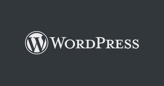 Custom WordPress Design to Boost your Digital Strategy