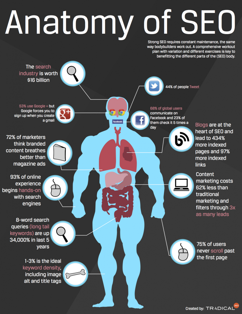 SEO-infographic